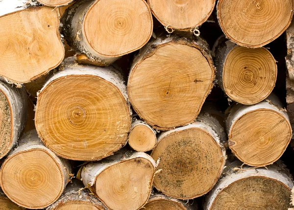 Birch firewood — Stock Photo, Image