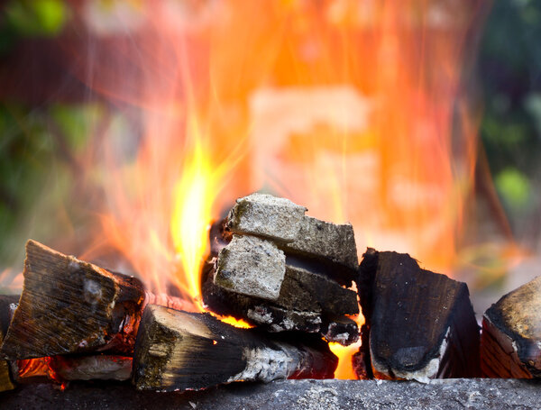 Firewood burning in the brazier