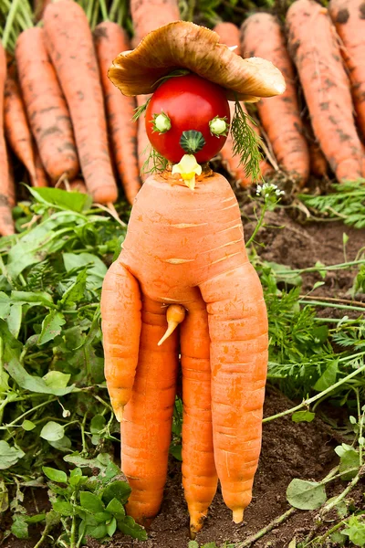 Необычный урожай моркови — стоковое фото