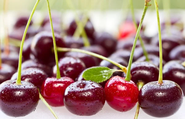 Ripe cherry with water drops. background — Stock Photo, Image