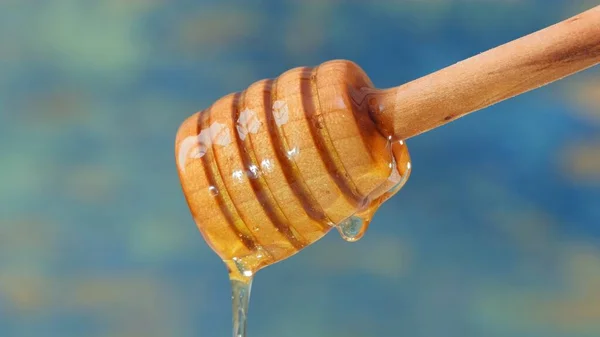 Fresh honey pouring and flowing from wooden dipper spoon on blue background — Stock Photo, Image