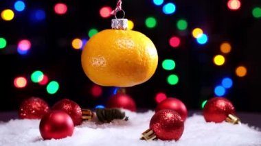 4 bin. Turuncu mandalina meyvesinden yapılmış dönen Noel oyuncağı. Yeni Yıl Dekorasyonu