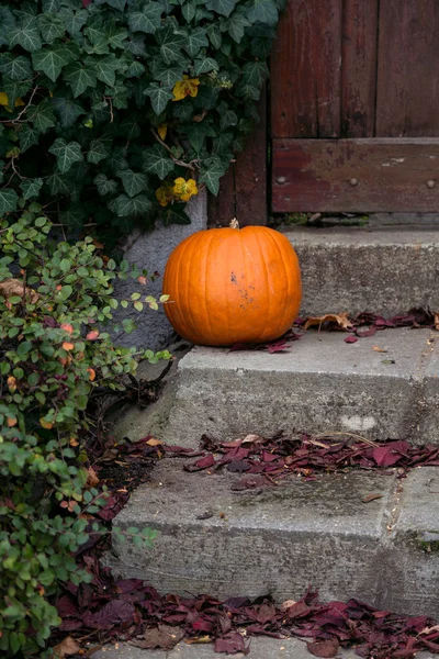 Cadılar Bayramı balkabağı süslemesi