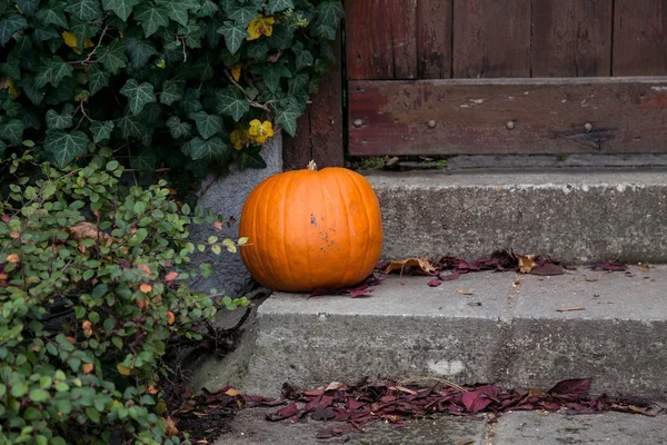 Cadılar Bayramı balkabağı süslemesi