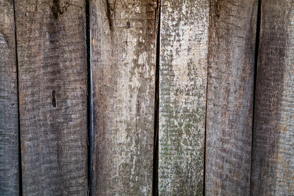 Arka plan olarak kullanılan eski, grunge ahşap paneller