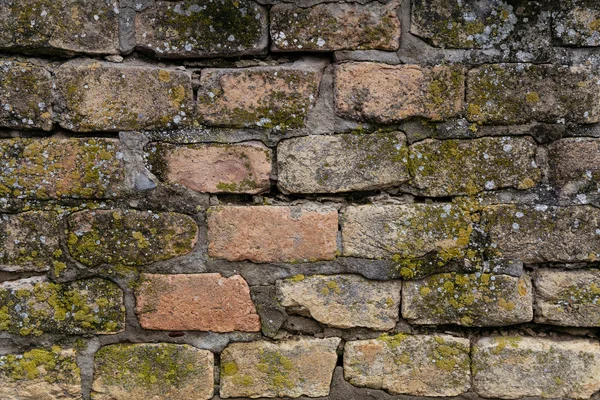 çok eski tuğla duvar yosun, doku kaplı