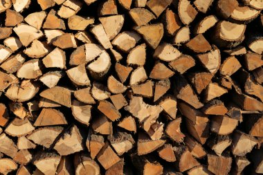 Huş odun - doğal yatay arka plan yığını