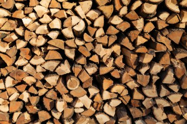 Huş odun - doğal yatay arka plan yığını