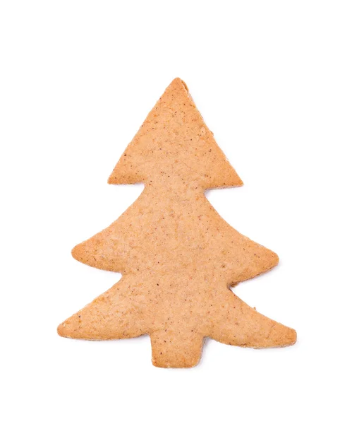Beyaz arka plan üzerinde izole gingerbread çam
