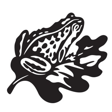 black frog - vector illustration