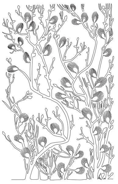 Svarta konturer - grenar av willow - vektor illustration — Stock vektor