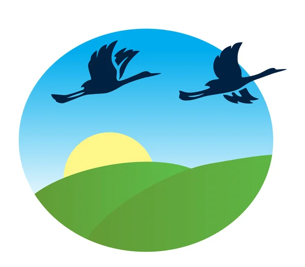 Птицы, летящие над зелеными полями - векторная иллюстрация — стоковый вектор