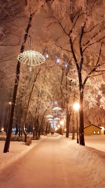 Decorações Parque Kharkiv Inverno Janeiro 2017 Ucrânia — Fotografia de Stock