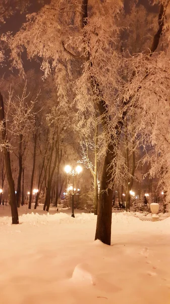 Lampadaires Soir Dans Parc Hiver Kharkiv — Photo