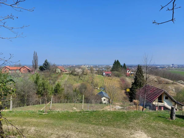 スラヴォニアの風景 緑の丘の上にヴィロヴィティカ近くスヴェティ ドゥラド — ストック写真
