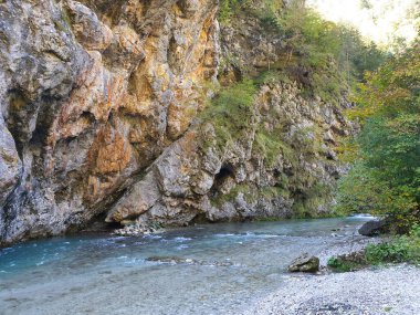Savinja Nehri 'nin temiz suyu - Slovenya' da sonbaharda kayalar arasında 