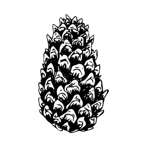 Cone Árvore Natal Esboço Contorno Preto Isolado Fundo Branco Ilustração —  Vetores de Stock