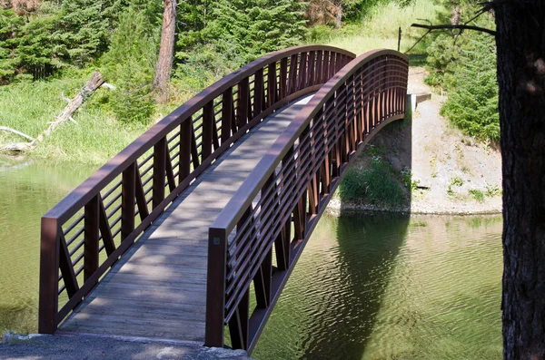 Ponte de pé através da água — Fotografia de Stock