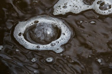 çorak ağaçlar yansıtan nehir kabarcık