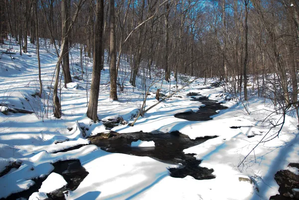 A Winter Creek — Stock Photo, Image