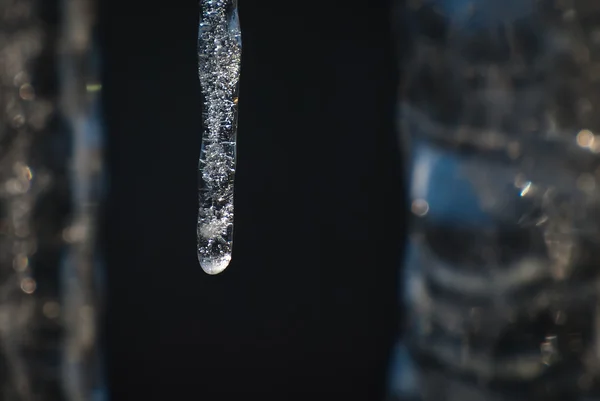 Icicles — Stock fotografie