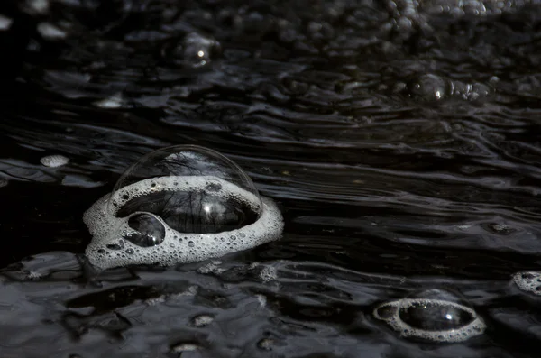 Fiume bolla Riflettendo gli alberi brulli — Foto Stock