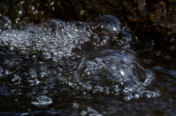 Naturaleza abstracta - Burbuja del río que refleja los árboles áridos —  Fotos de Stock