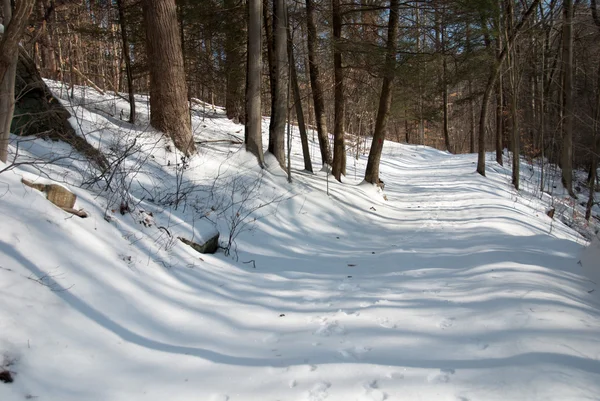 Snow Covered Trail Through the Woods — Stock Photo, Image