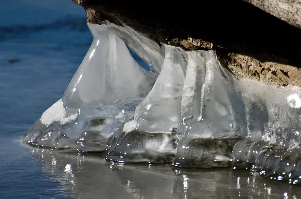 Nature Abstract - Sculpture naturelle sur glace — Photo