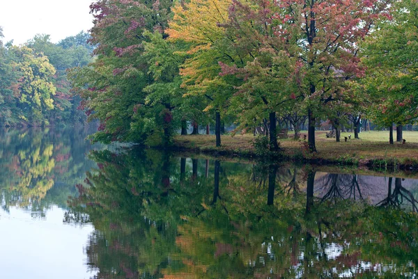 Silence in The Autumn Foliage — Stock Photo, Image