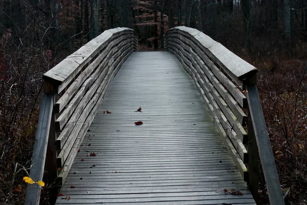 Houten brug in het bos — Stockfoto