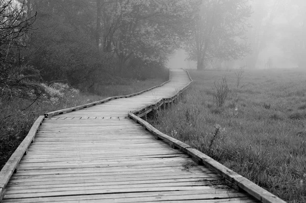 Wooden Walkway on a Foggy Spring Morning — Stok Foto