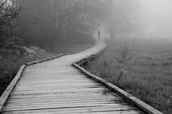 Hombre parado en la niebla al final de una pasarela de madera — Foto de Stock