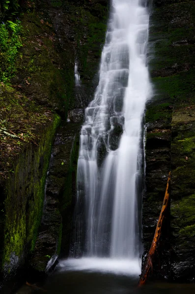 春の新緑の銀糸の滝 — ストック写真