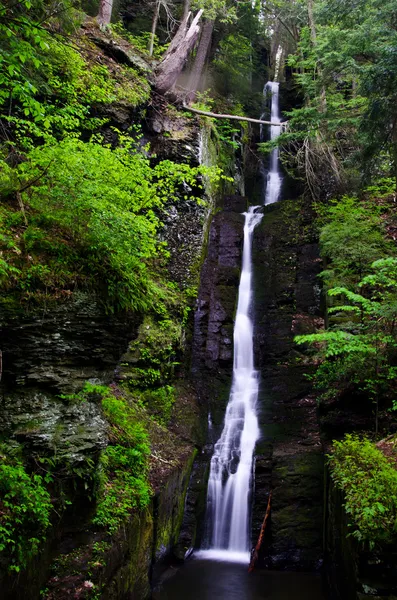 Silverthread Falls in the Fresh Green of Spring — Stock Photo, Image