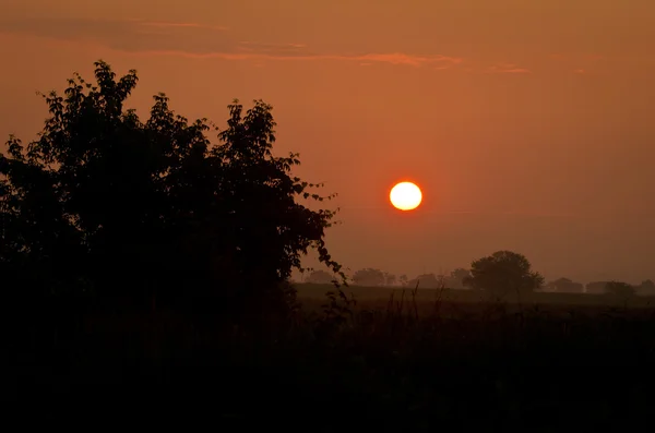 Sunrise Over the Field — Stock Photo, Image