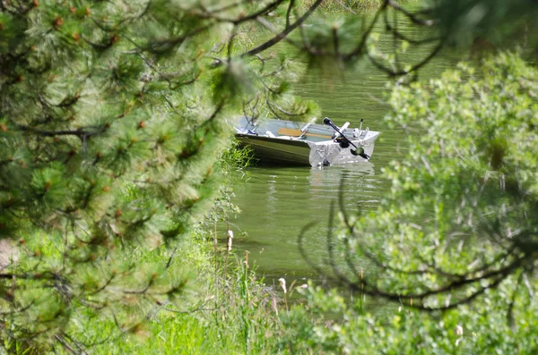 Gözlerden uzak bir göl kenarında kısmen gizli tekne — Stok fotoğraf