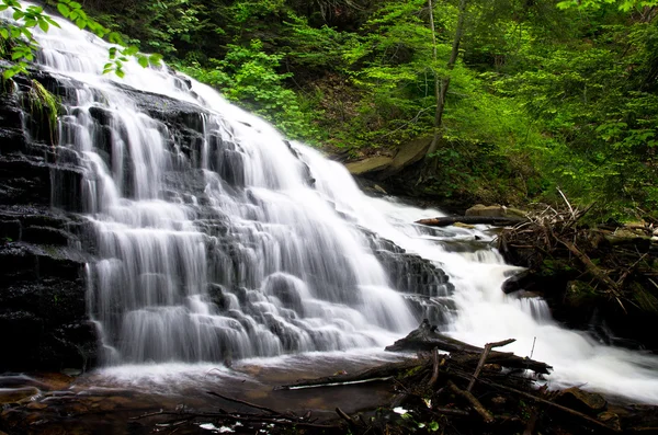 Wasserfall im Wald — Stockfoto