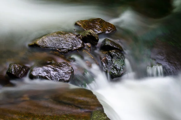 Skály v řečišti — Stock fotografie