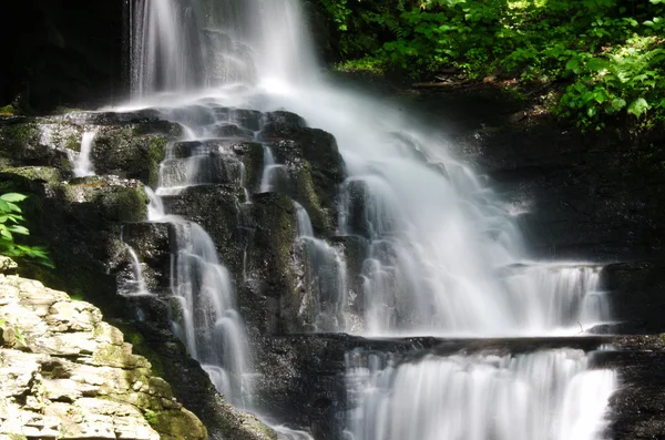 Cascada en el bosque —  Fotos de Stock