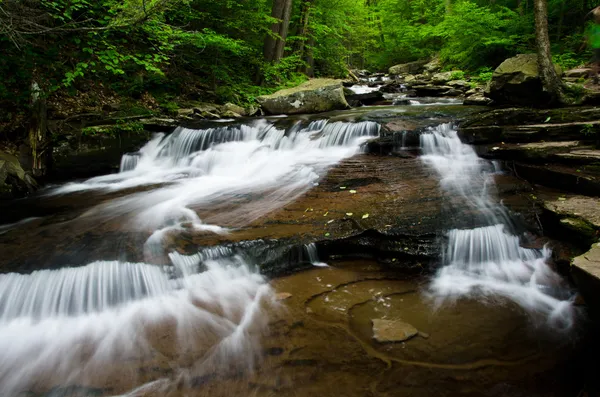 Cascade dans la forêt — Photo