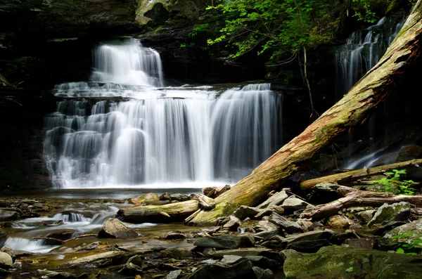 Wasserfall im Wald — Stockfoto