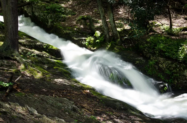 Wasser strömt den Bach hinunter — Stockfoto