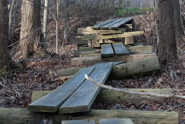 Wooden Walkway in the Woods — Stok Foto