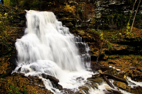 Cascade dans la forêt en automne — 图库照片