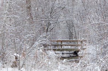Kış köprüden sonra taze kar yağışı
