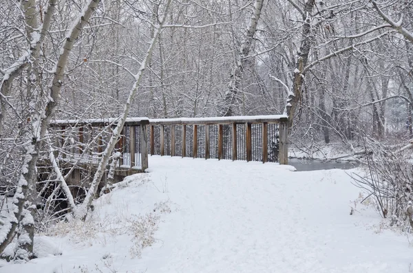 Γέφυρα χειμώνα μετά από μια νέα χιονόπτωση — Φωτογραφία Αρχείου