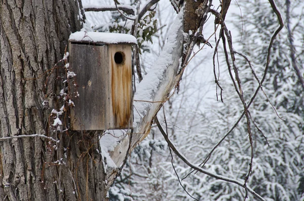 Dřevěný holubník po čerstvý sníh — Stock fotografie