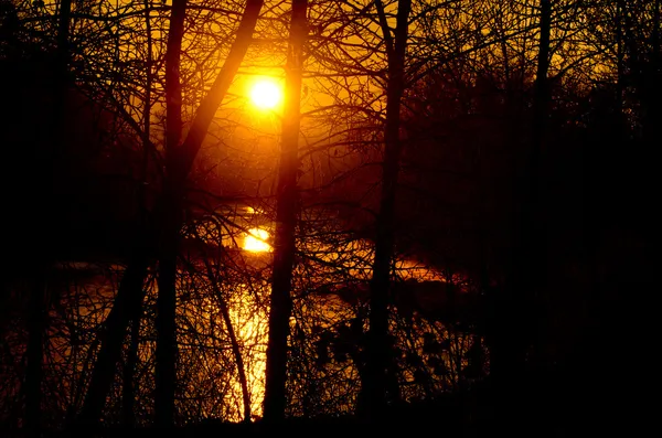 Lever de soleil sur la rivière — Photo
