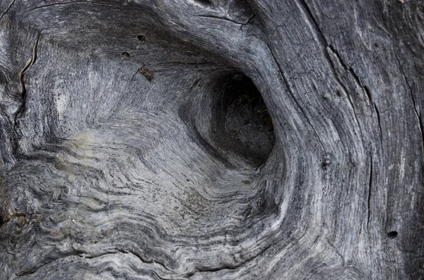自然抽象 — — 自然风化木材 — 图库照片
